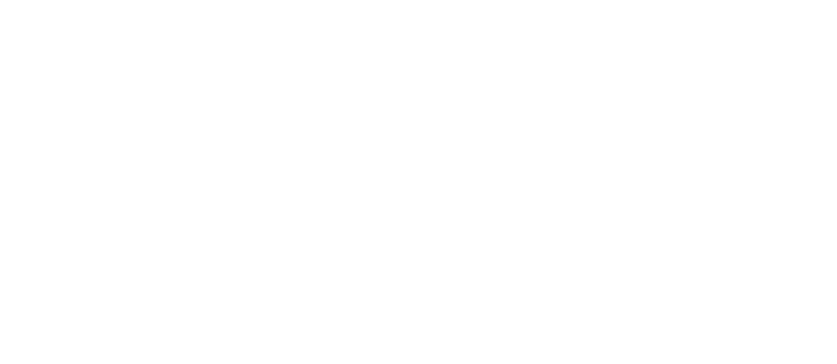 Picq Logo